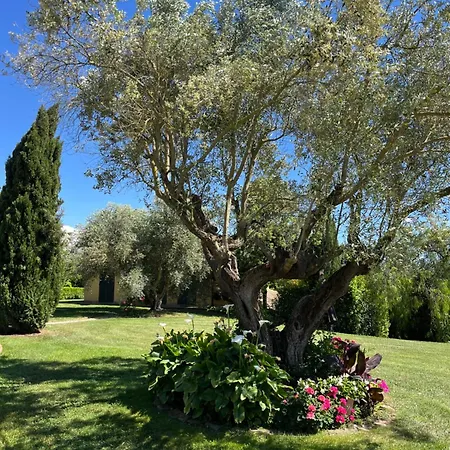 Casale Antica Cassia Luxury &